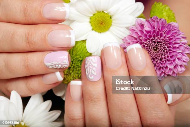 Hands With French Manicured Nails And Flowers Stock Photo - Download Image Now - Fingernail, Manicure, Nail Art