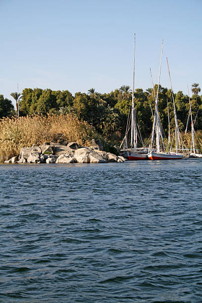istock Felucca Sailing Boats - River Nile (Aswan, Egypt) 91095866
