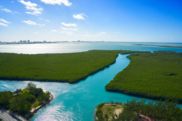 vista aérea de cancún de la laguna nichupté - lagoon fotografías e imágenes de stock