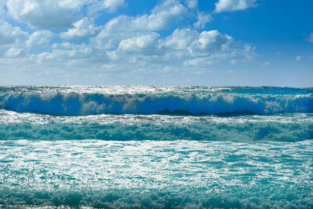 istock Cancun Forum beach Playa Gaviota Azul 910959008