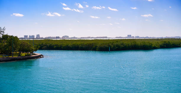 istock Cancun Nichupte Lagoon at Hotel Zone 910959340