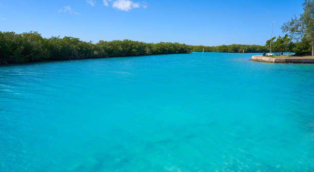 istock Cancun Nichupte Lagoon at Hotel Zone 910959854