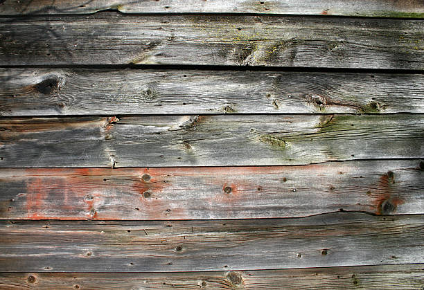weatherd madeira - weatherd imagens e fotografias de stock