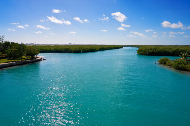 istock Cancun Nichupte Lagoon at Hotel Zone 910961116