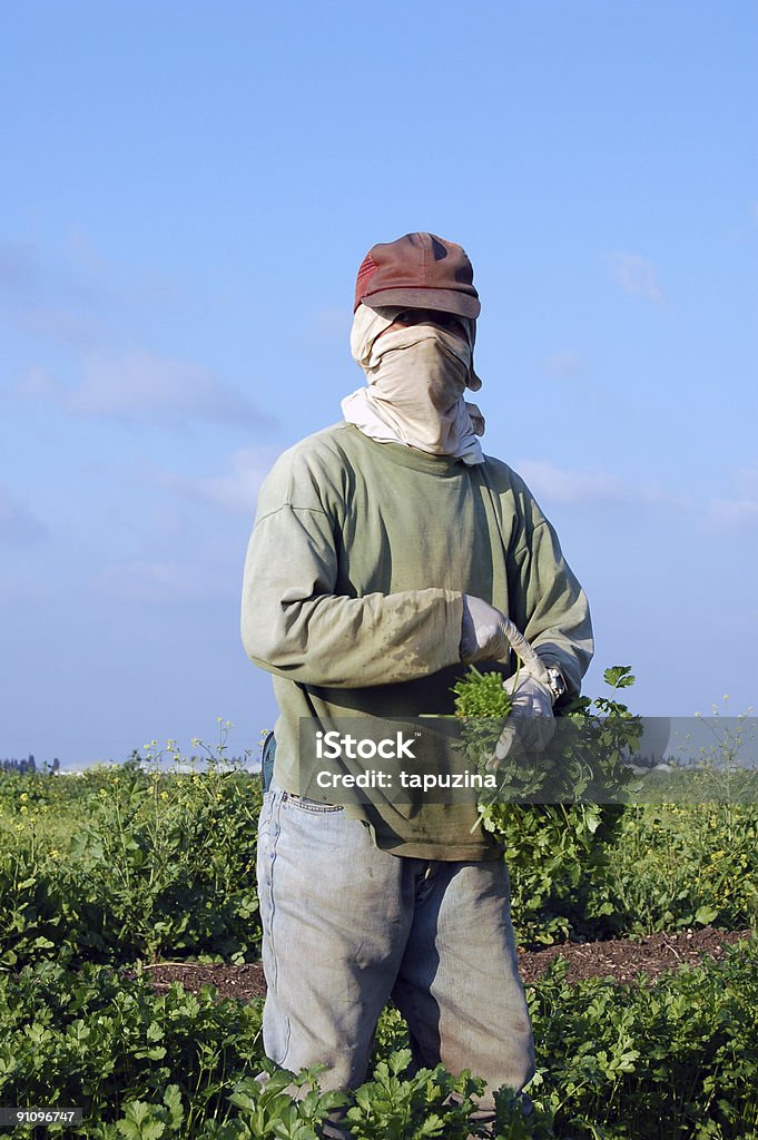 Agricolo - Foto stock royalty-free di Cardamomo