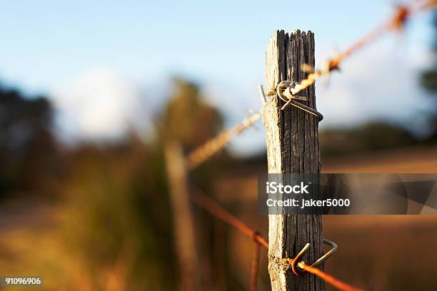 Edad Posterior A La Valla Foto de stock y más banco de imágenes de Aire libre - Aire libre, Alambre, Alambre de espino