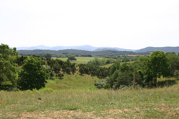 istock Rural Landscape of Central Virginia 91096911