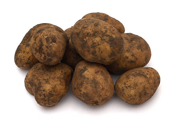 istock Group of dirty raw potatoes 91096983
