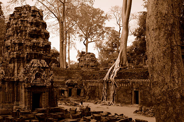 esqueceu da cidade - banyan tree asian ethnicity art cambodia - fotografias e filmes do acervo