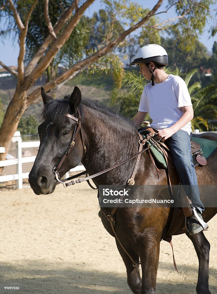 Apprendre à faire - Photo de Cheval libre de droits