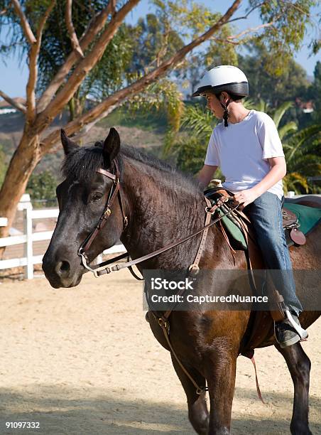 Photo libre de droit de Apprendre À Faire banque d'images et plus d'images libres de droit de Cheval - Cheval, Thérapie alternative, Adulte