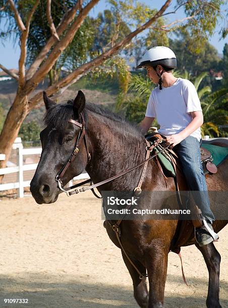 Formazione A Distanza - Fotografie stock e altre immagini di Cavallo - Equino - Cavallo - Equino, Terapia alternativa, Adulto