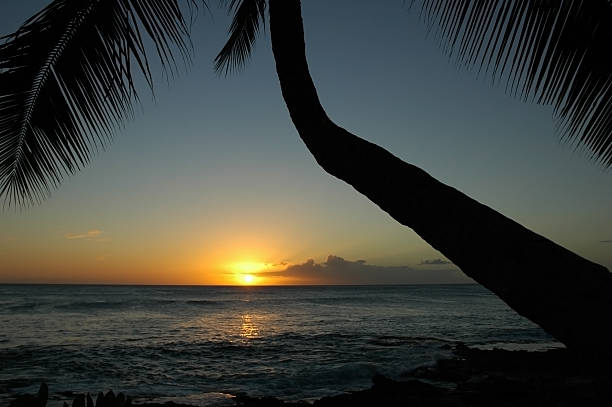Sun in Oahu stock photo