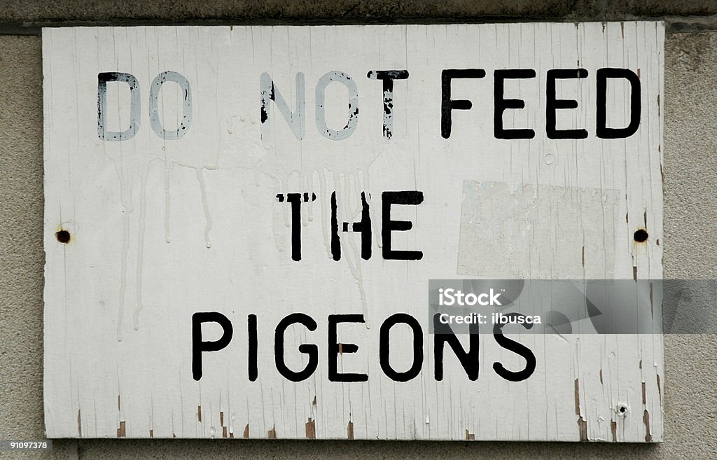 No alimente pigeons señal - Foto de stock de Alimentar libre de derechos