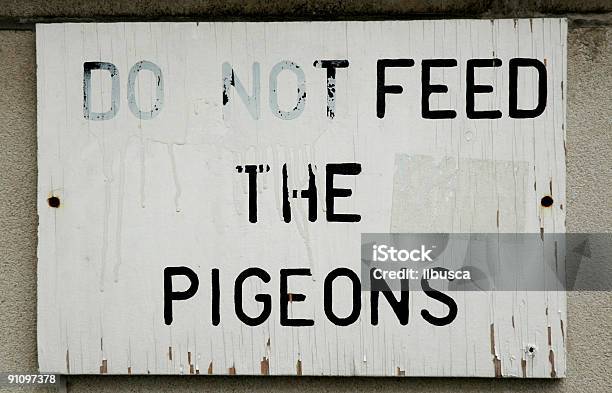 No Alimente Pigeons Señal Foto de stock y más banco de imágenes de Alimentar - Alimentar, Alimento, Color - Tipo de imagen