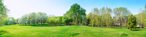 park en principios de la primavera - panoramic fotografías e imágenes de stock