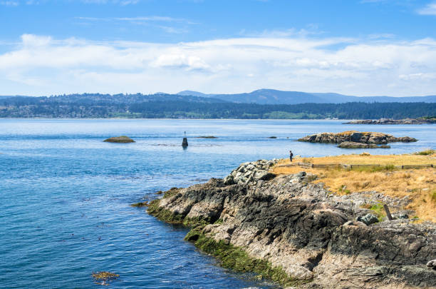 woman hiker on the edge of cliff on a sunny summer day - hiking coastline waters edge sunny imagens e fotografias de stock