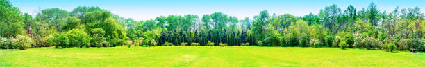 Park in early spring Park in early spring.Park in early spring. panorama park stock pictures, royalty-free photos & images