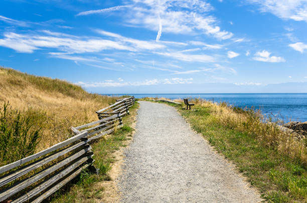 istock Unpaved Coast Path under Blue Sky on a Summer Day 910976434