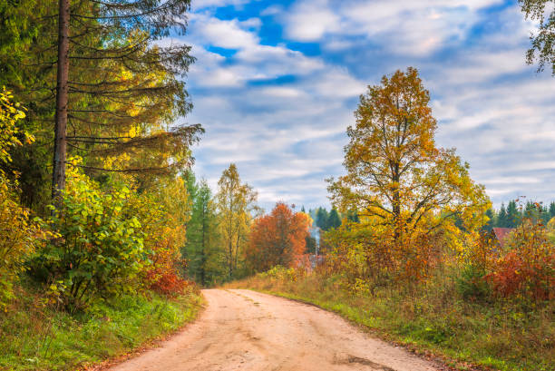 istock Countryside road in autumn 910987780