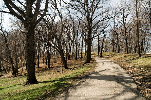 Nature Trail stock photo