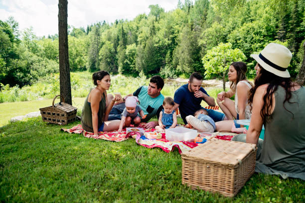 famiglie millennials che fanno un picnic all'aperto in estate. - 12 23 mesi foto e immagini stock