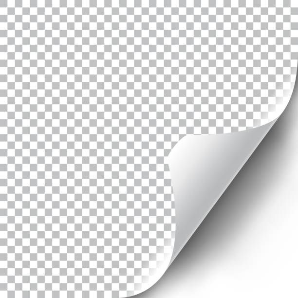 Curly Page Corner Curly Page Corner realistic illustration with transparent shadow. Ready to apply to your design. Graphic element for documents, templates, posters, flyers. Vector illustration. peeling off stock illustrations