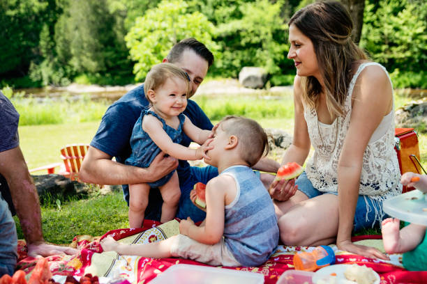 istock Millennials families having a picnic outdoors in summer. 911000440