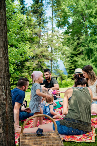 istock Millennials families having a picnic outdoors in summer. 911000604