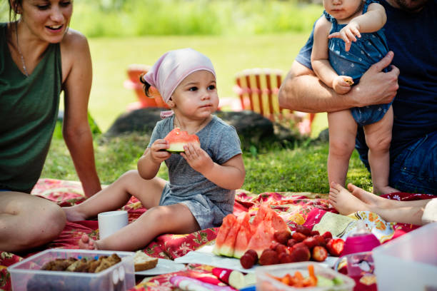 istock Millennials families having a picnic outdoors in summer. 911000864