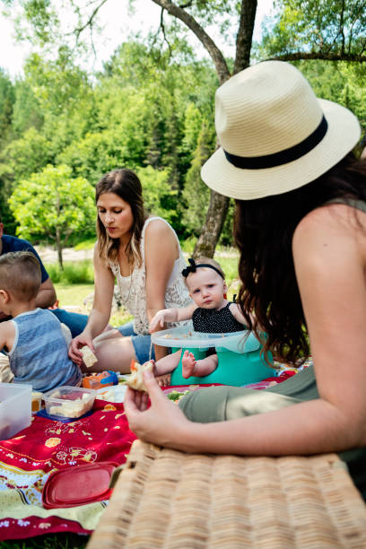 istock Millennials families having a picnic outdoors in summer. 911000922