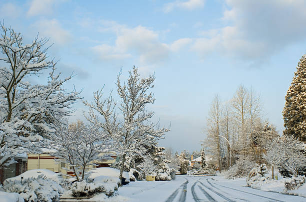 istock snowfall blanket - early AM in the suburbs 91100338