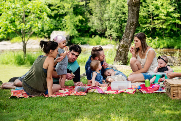 istock Millennials families having a picnic outdoors in summer. 911003436
