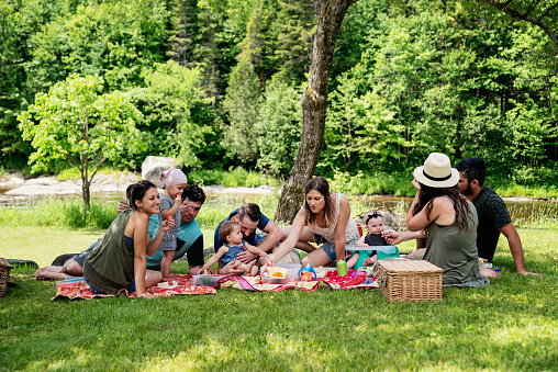 Millennials families with young children having an outdoors picnic on a wonderful summer day. Six adults, four children, leisurely sharing lunch on the grass, in the shadow of a tall tree, near a river. Horizontal full length shot with copy space. This was taken in Quebec, Canada.