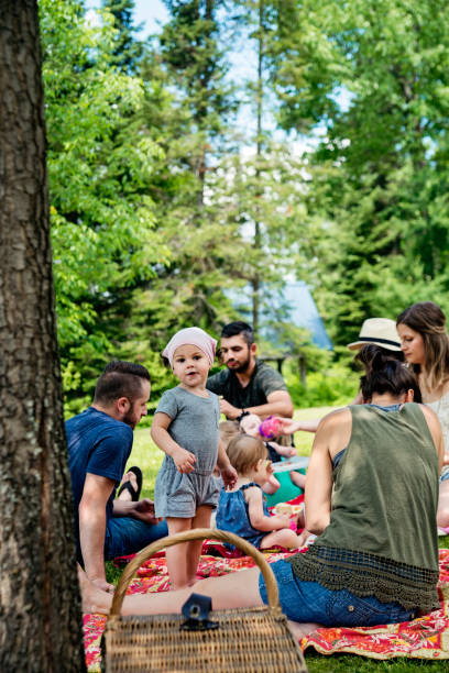 istock Millennials families having a picnic outdoors in summer. 911003966