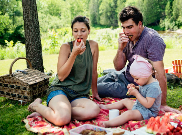 istock Millennial family having a picnic outdoors in summer. 911007002