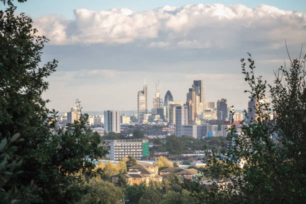 istock London city skyline through bush 911007356