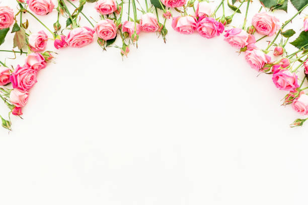 istock Floral frame made of pink roses on white background. Flat lay, Top view. 911008040