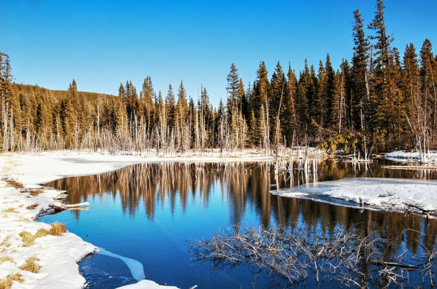 Winter landscape with the Beaver Pond near Bragg Creek in Kananaskis Country.