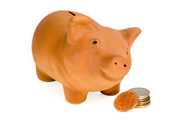 istock Piggy with money 91101103