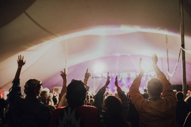 Crowd at a Music Festival