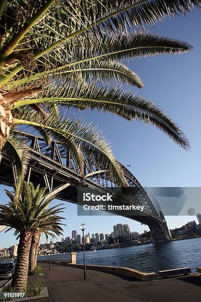 Palmera Con Puente Foto de stock y más banco de imágenes de Aire libre - Aire libre, Australia, Ciudad