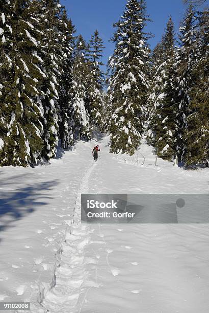 Snowshoe Walking Stock Photo - Download Image Now - Activity, Alto Adige - Italy, Backpack