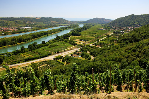 Landscape, vineyard and vineyard of the Rhone Valley France 2017