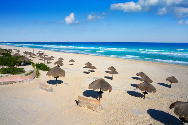 istock Cancun Delfines Beach at Hotel Zone Mexico 911023034