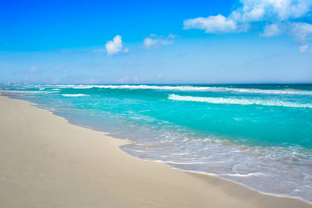 istock Cancun Delfines Beach at Hotel Zone Mexico 911023068