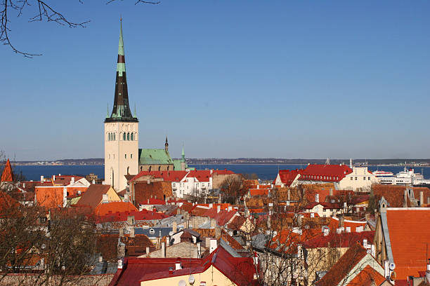 istock Old city of Tallinn 91102400