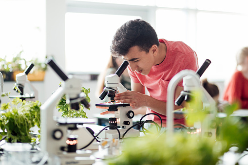 Mixed race student looking down a microscope.