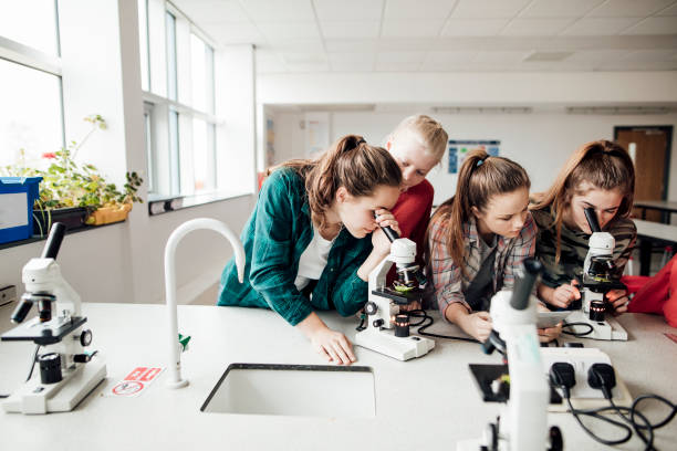 schaft in der schule - science education child classroom stock-fotos und bilder