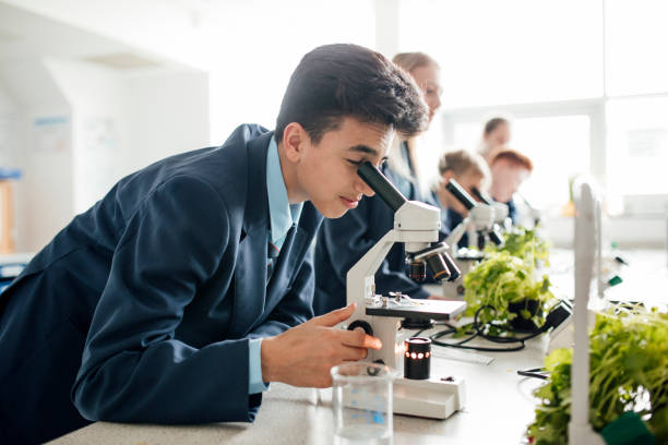 olhando para baixo o microscópio - aula de biologia - fotografias e filmes do acervo